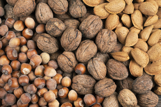 坚果图片下载