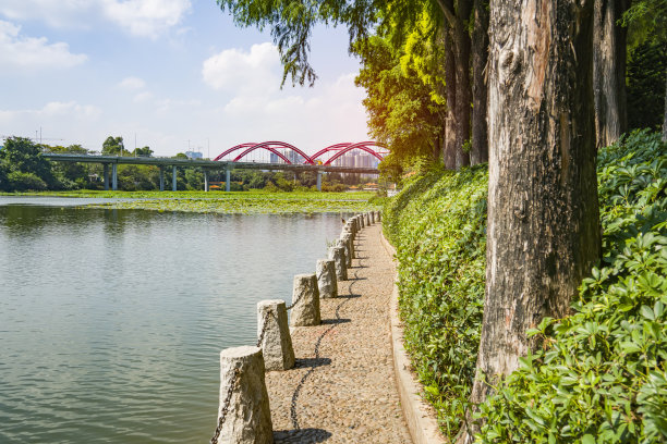 美丽的城市风景，有湖和人行道。深圳,中国。图片下载