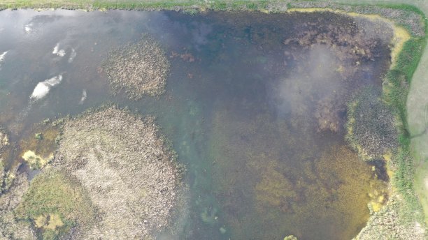 空气静止水绿色图片下载