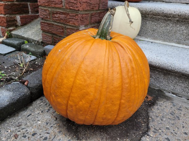 门廊上的橙色大南瓜图片下载