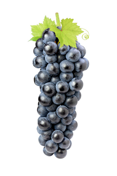 黑葡萄和绿叶图片下载