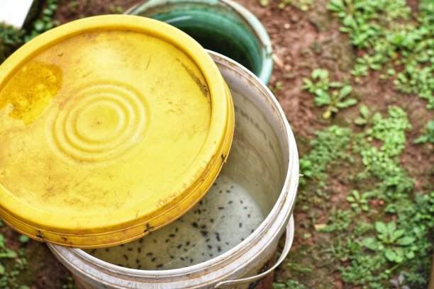 用桶收集雨水图片下载
