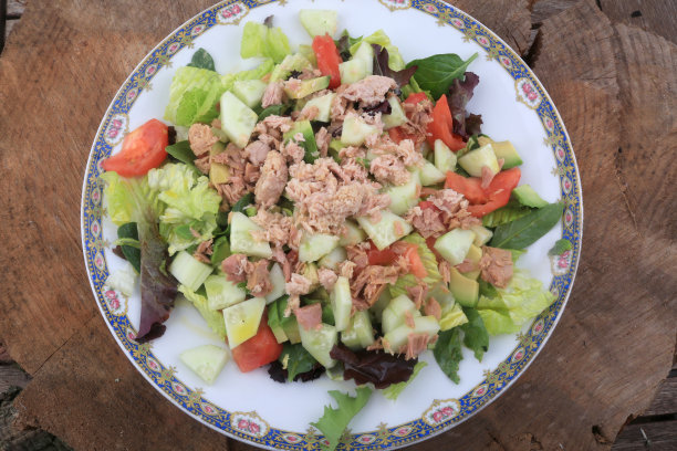 新鲜沙拉，有生菜、蕃茄、金枪鱼和黄瓜图片下载