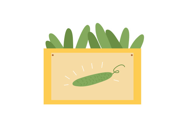 向量箱与黄瓜在平面风格，出售新鲜农场蔬菜，插图蔬菜商店，商店孤立在白色背景图片下载