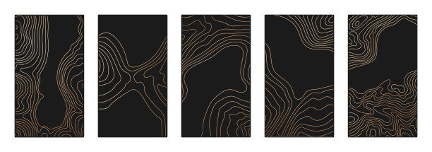 等高线上的地形图，地理地图背景。带有复制空间的社交媒体故事模板向量集图片下载