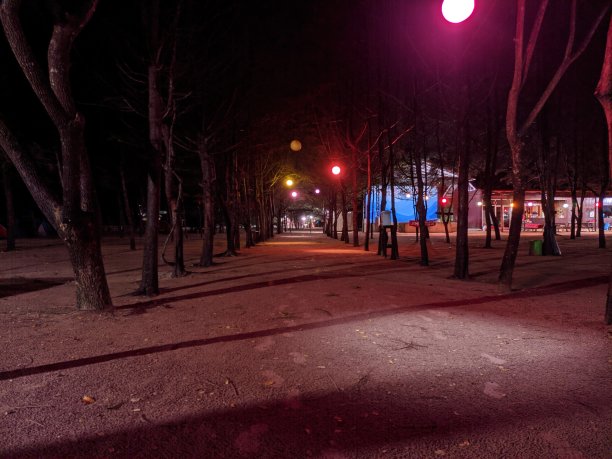 沙滩之夜图片下载