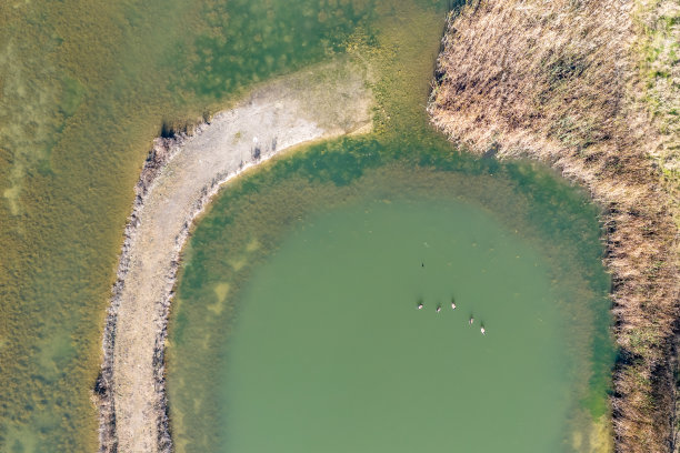 加拿大沃恩，伍德布里奇博士，松树村的Vellore村和Kortright保护中心图片下载