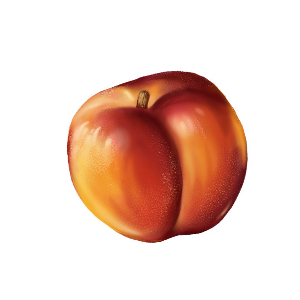 高丽油桃图片下载