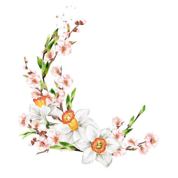 花圈与春天的花朵，手绘水彩插图孤立在白色的背景图片下载