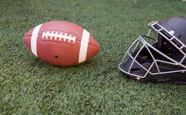 收集大量的运动球，齿轮设备，从各种运动的绿色草地足球场的概念图片下载