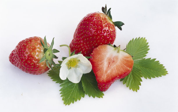 草莓图片下载