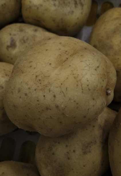 一堆土豆蔬菜的照片图片下载