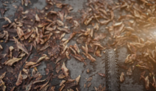 山地车停在干燥的秋叶中。图片下载