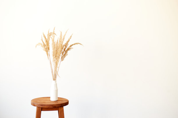 花瓶中的蒲苇树枝在浅色背景上。室内装饰。本空间图片下载