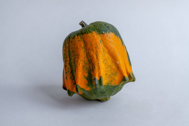 白色背景上装饰性的冠状南瓜图片下载