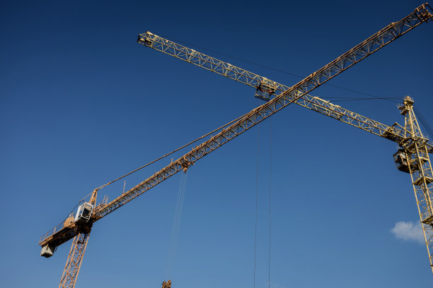 两只鹤在蓝天的背景上图片下载