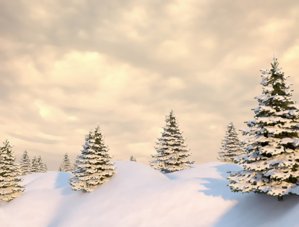 冬天的风景图片下载