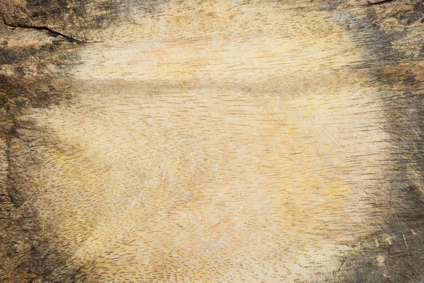 老木纹理。图片下载