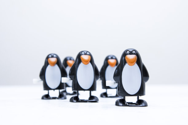 一组五个发条企鹅玩具图片下载