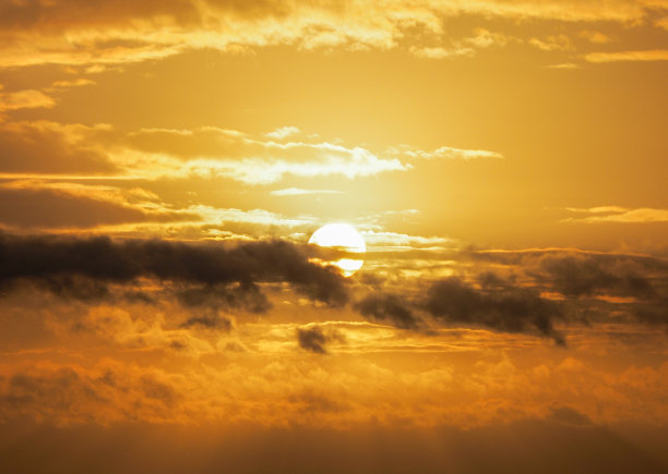 明亮的金色的早晨图片下载