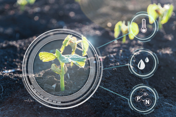 创新现代质量控制技术，提高作物产量图片下载