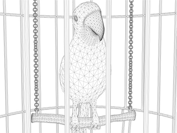 线框鹦鹉在一个笼子孤立在一个白色的背景。前视图。3 d。矢量图图片下载