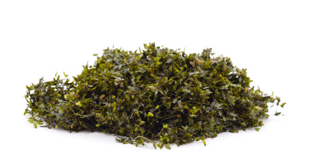 河绿藻。图片下载