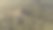 森林图片下载