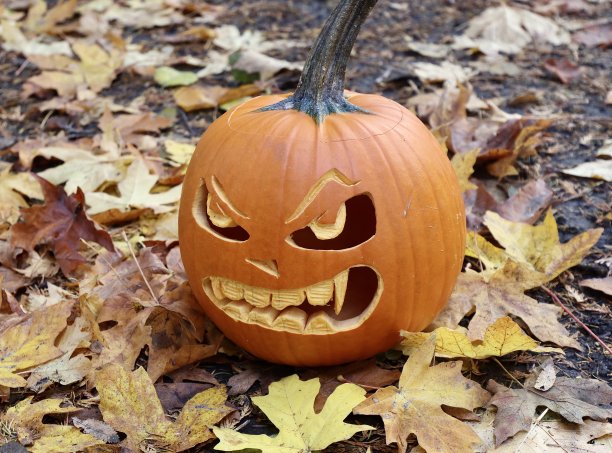 愤怒的南瓜雕刻图片下载