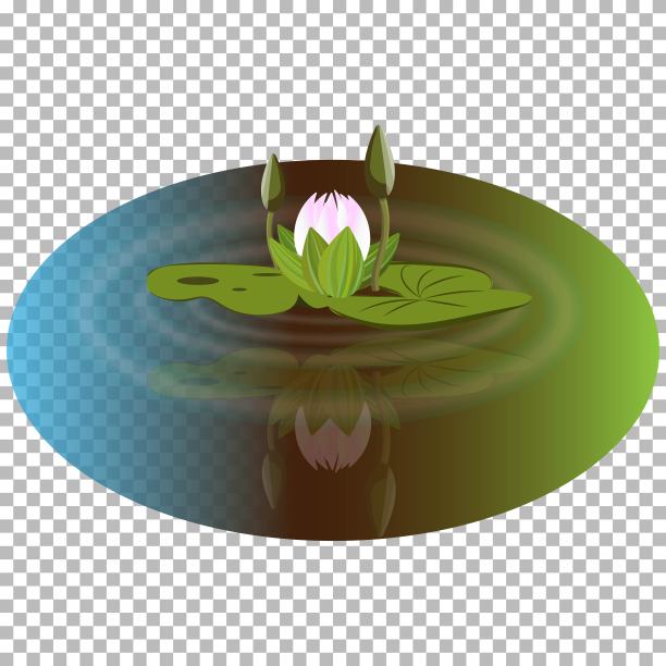 粉红色的莲花与花蕾矢量插图的睡莲映在池塘的水。吸引人的自然沼泽景观道具装饰上透明图片下载