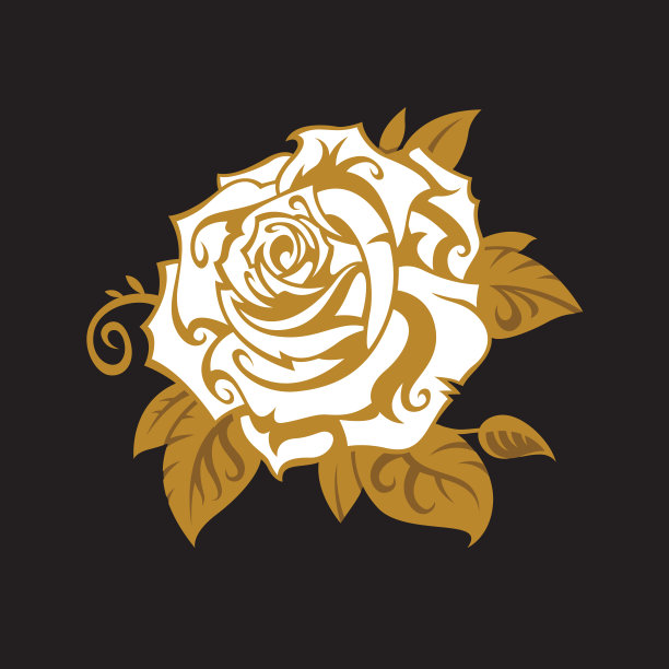 玫瑰花蕾的形象图片下载