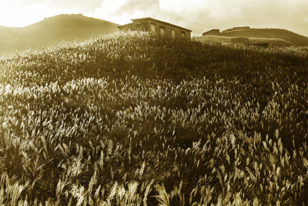 香港乡郊的田园风光图片下载