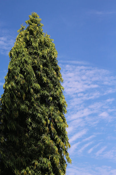 极简主义图片下载