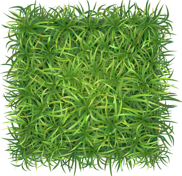 逼真的长草构图图片下载