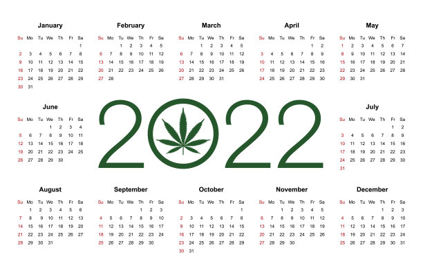 2022年和2023年的大麻日历。医疗大麻。简单的向量模板。图片下载