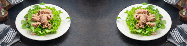 沙拉鳕鱼肝混合生菜叶鱼海鲜-3新鲜餐小吃在桌子上复制空间食品背景图片下载