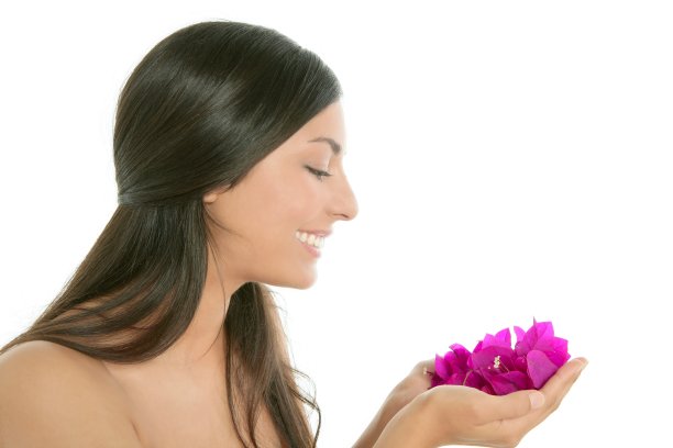 美丽的印度花和九重葛花图片下载