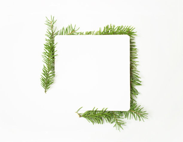 以自然元素为框架的圣诞复制空间。图片下载