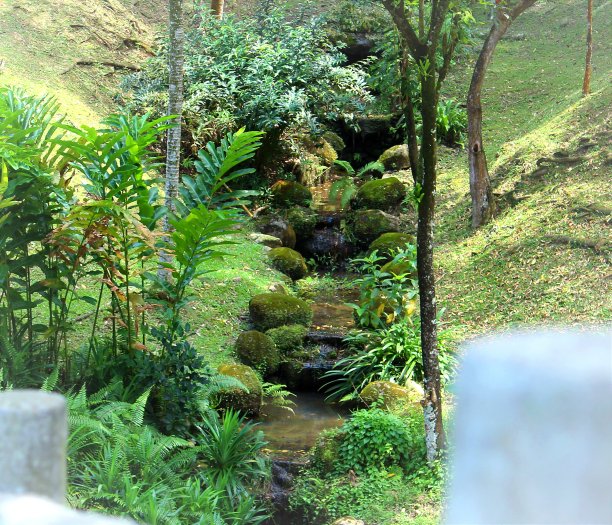 一个美丽的瀑布创造图片下载