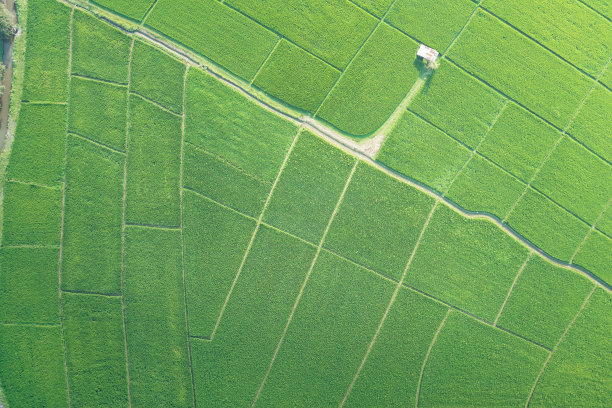 泰国清迈俯瞰绿地景观。图片下载