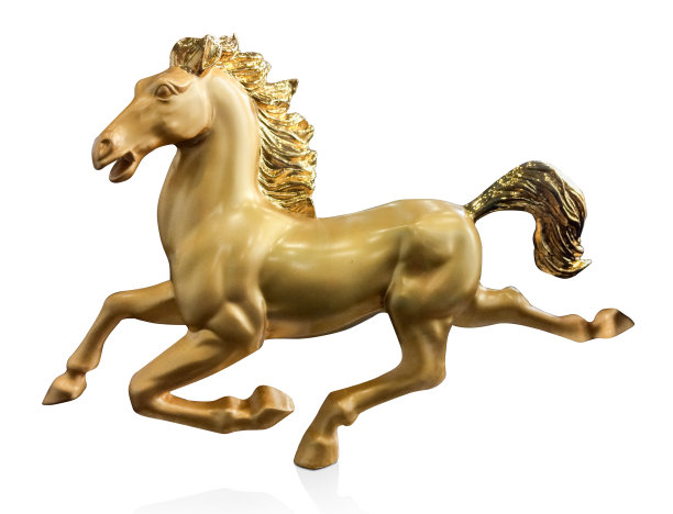 侧视金马是在白色背景上奔跑，复制空间图片下载