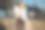 购物后的年轻女子。“黑色星期五”。图片下载