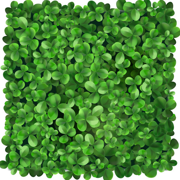 逼真的三叶草构图图片下载