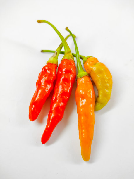 辣椒-花椒照片图片下载