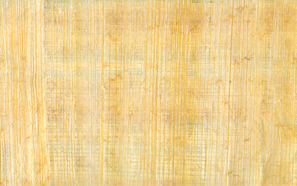 纸莎草纹理背景图片下载