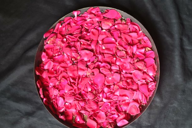 玫瑰花瓣关闭黑暗的背景图片下载