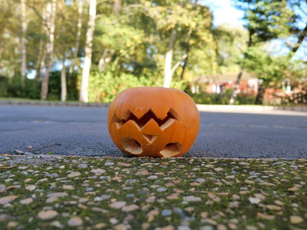 万圣节的南瓜图片下载