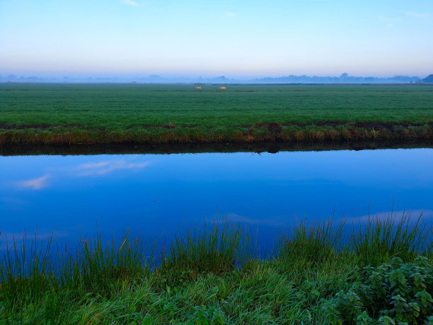 深秋初冬自然保护区的清晨景观图片下载