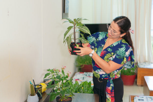在家照顾植物的女人。图片下载