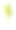 黄色的黄杉花、芽和叶在白色的小花束上孤立图片下载
